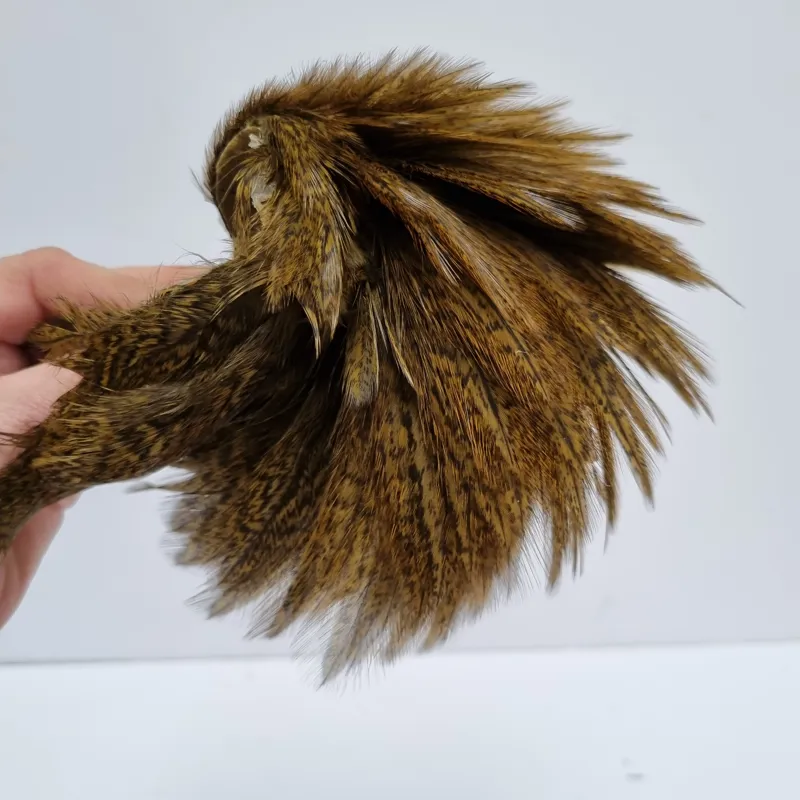 Whiting Coq de Leon Hen Cape in Speckled Golden Olive-11